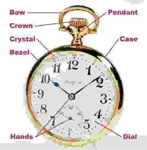 pocket watch parts diagram